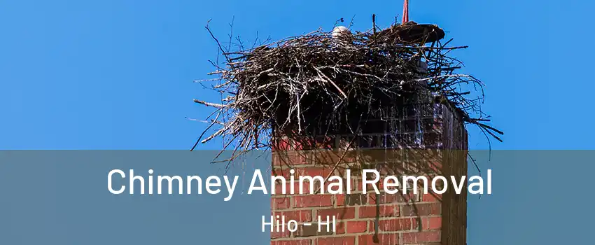 Chimney Animal Removal Hilo - HI