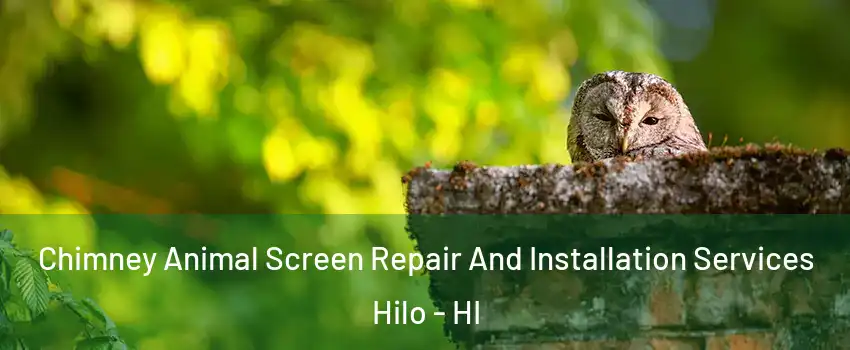  Chimney Animal Screen Repair And Installation Services Hilo - HI