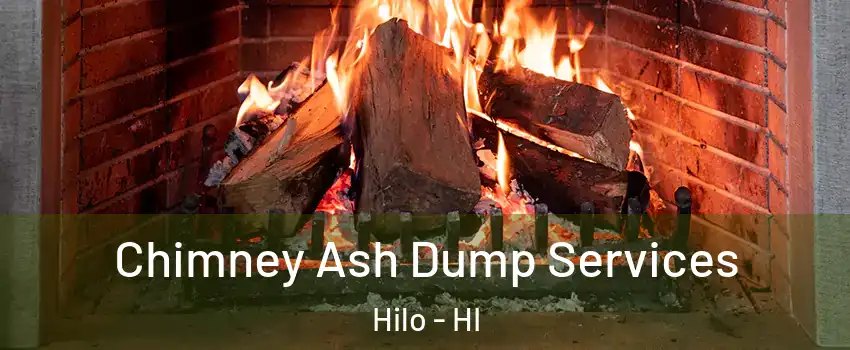  Chimney Ash Dump Services Hilo - HI