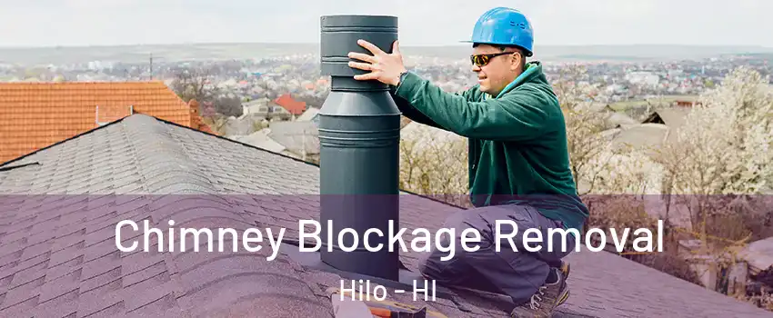  Chimney Blockage Removal Hilo - HI