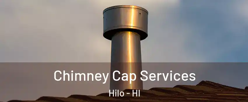  Chimney Cap Services Hilo - HI