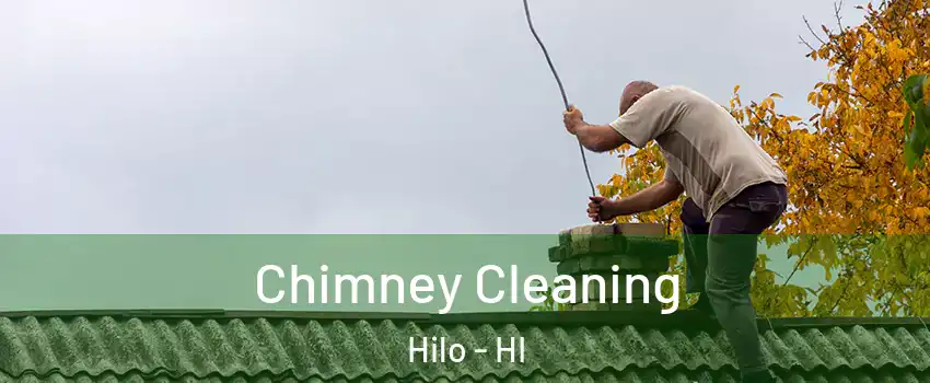 Chimney Cleaning Hilo - HI