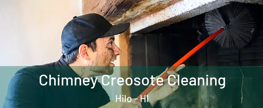  Chimney Creosote Cleaning Hilo - HI