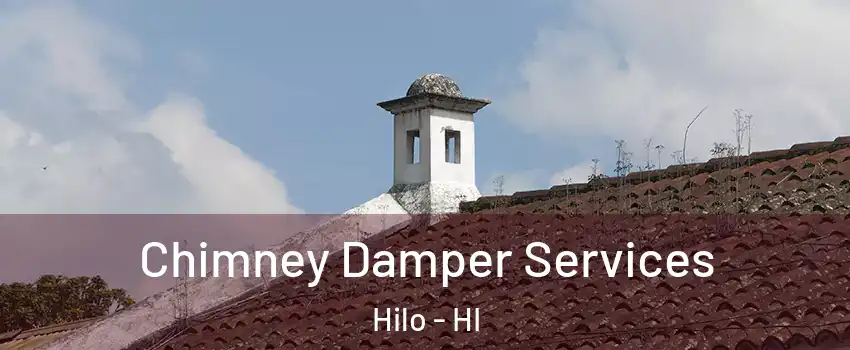  Chimney Damper Services Hilo - HI
