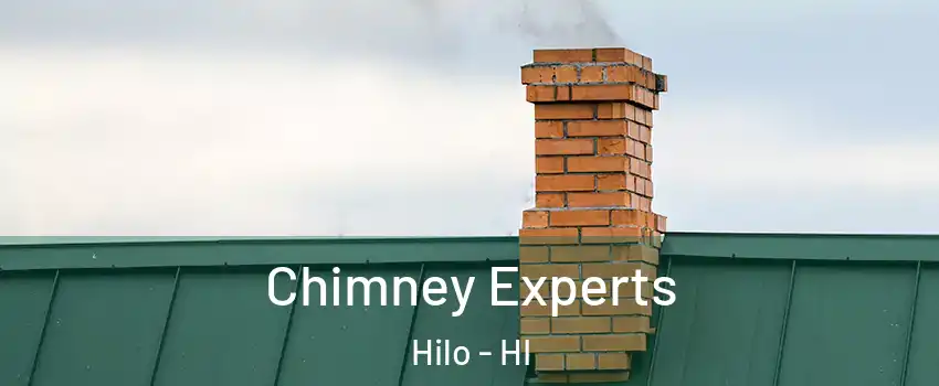 Chimney Experts Hilo - HI