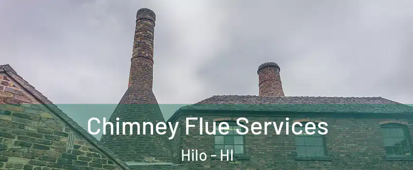  Chimney Flue Services Hilo - HI