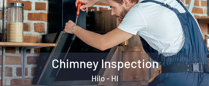  Chimney Inspection Hilo - HI