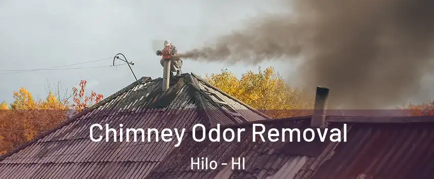  Chimney Odor Removal Hilo - HI