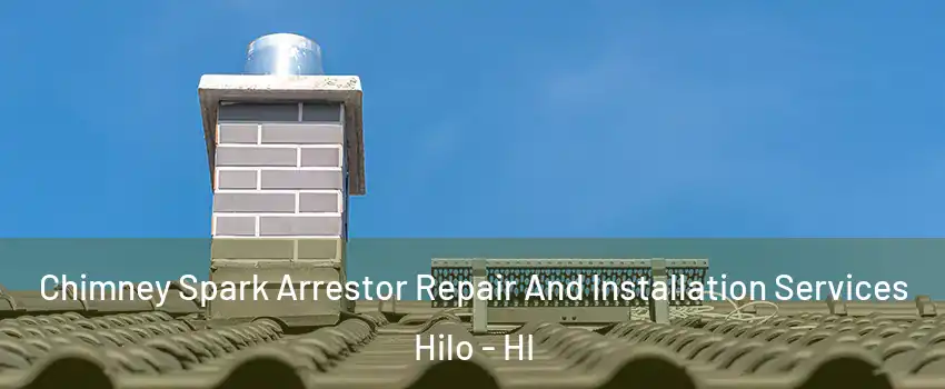  Chimney Spark Arrestor Repair And Installation Services Hilo - HI
