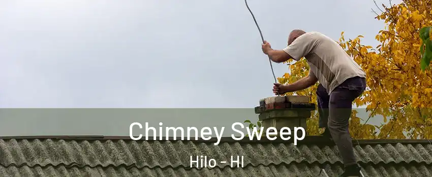  Chimney Sweep Hilo - HI