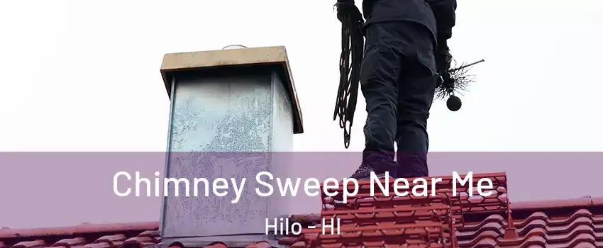  Chimney Sweep Near Me Hilo - HI