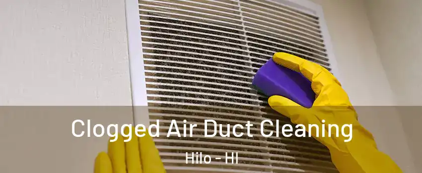  Clogged Air Duct Cleaning Hilo - HI