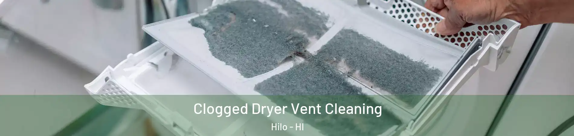  Clogged Dryer Vent Cleaning Hilo - HI