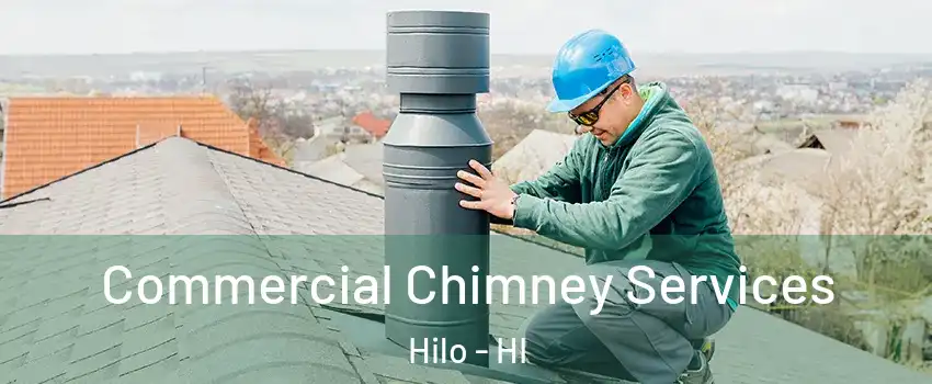  Commercial Chimney Services Hilo - HI