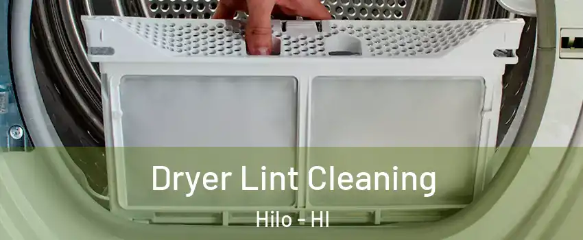  Dryer Lint Cleaning Hilo - HI