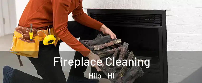  Fireplace Cleaning Hilo - HI