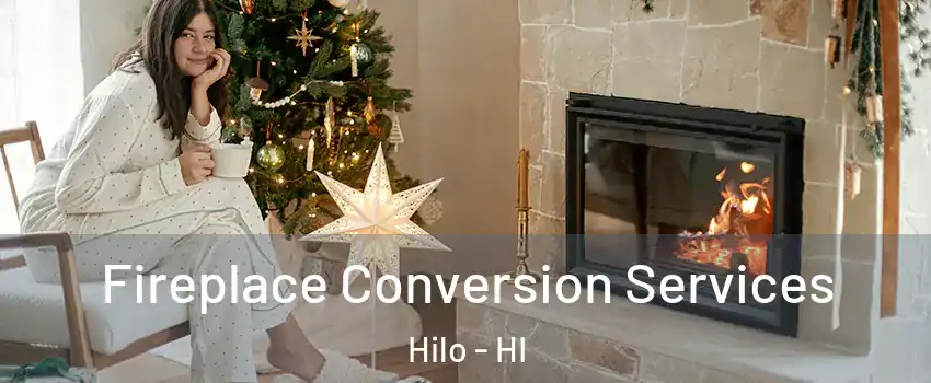  Fireplace Conversion Services Hilo - HI