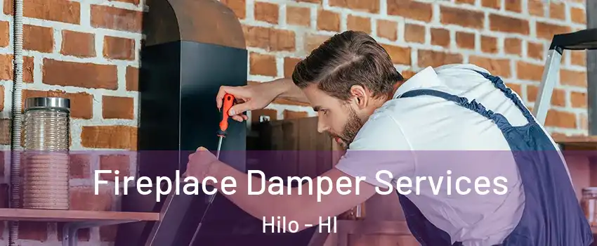  Fireplace Damper Services Hilo - HI