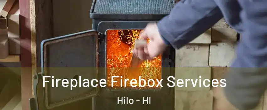  Fireplace Firebox Services Hilo - HI