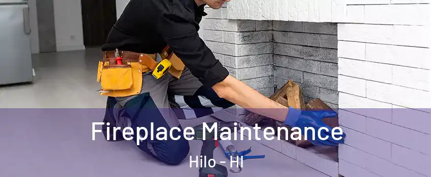  Fireplace Maintenance Hilo - HI