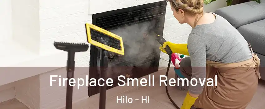  Fireplace Smell Removal Hilo - HI