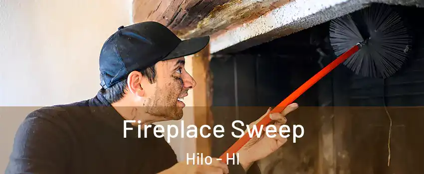  Fireplace Sweep Hilo - HI