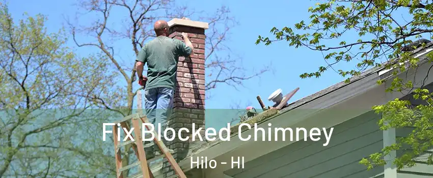  Fix Blocked Chimney Hilo - HI