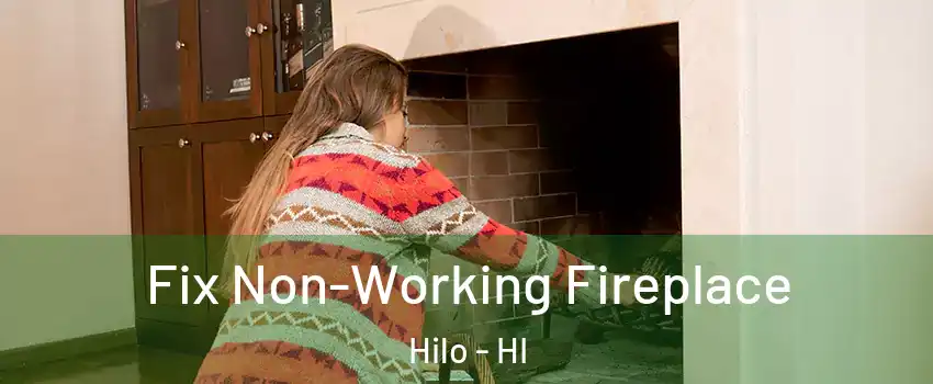  Fix Non-Working Fireplace Hilo - HI