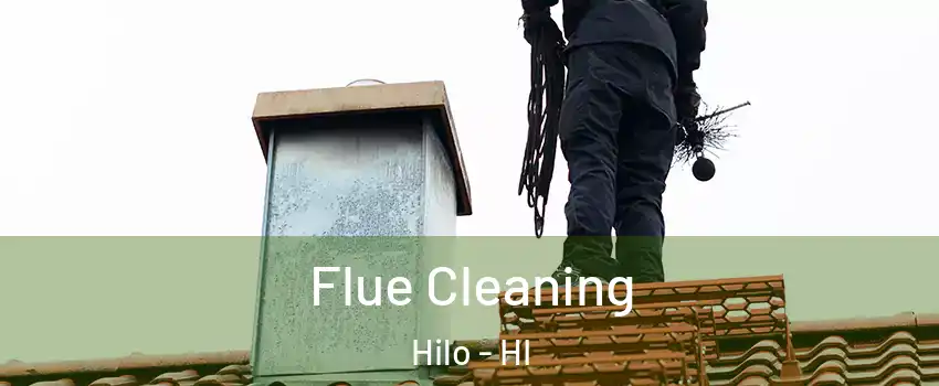  Flue Cleaning Hilo - HI
