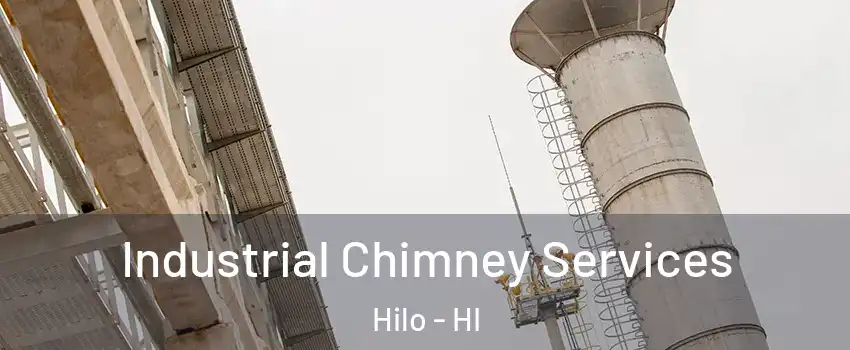  Industrial Chimney Services Hilo - HI