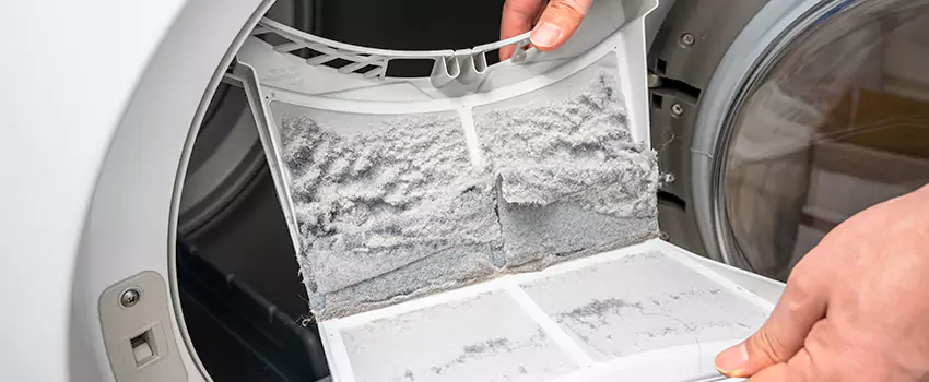 Best Dryer Lint Removal Company in Hilo, Hawaii