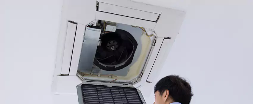 Benefits of Professional Air Duct Cleaning in Hilo, Hawaii