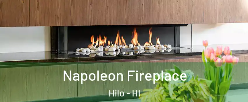 Napoleon Fireplace Hilo - HI
